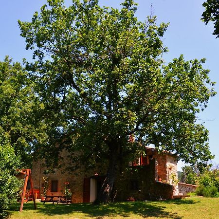 Il Venaio Bed & Breakfast Massa Marittima Luaran gambar