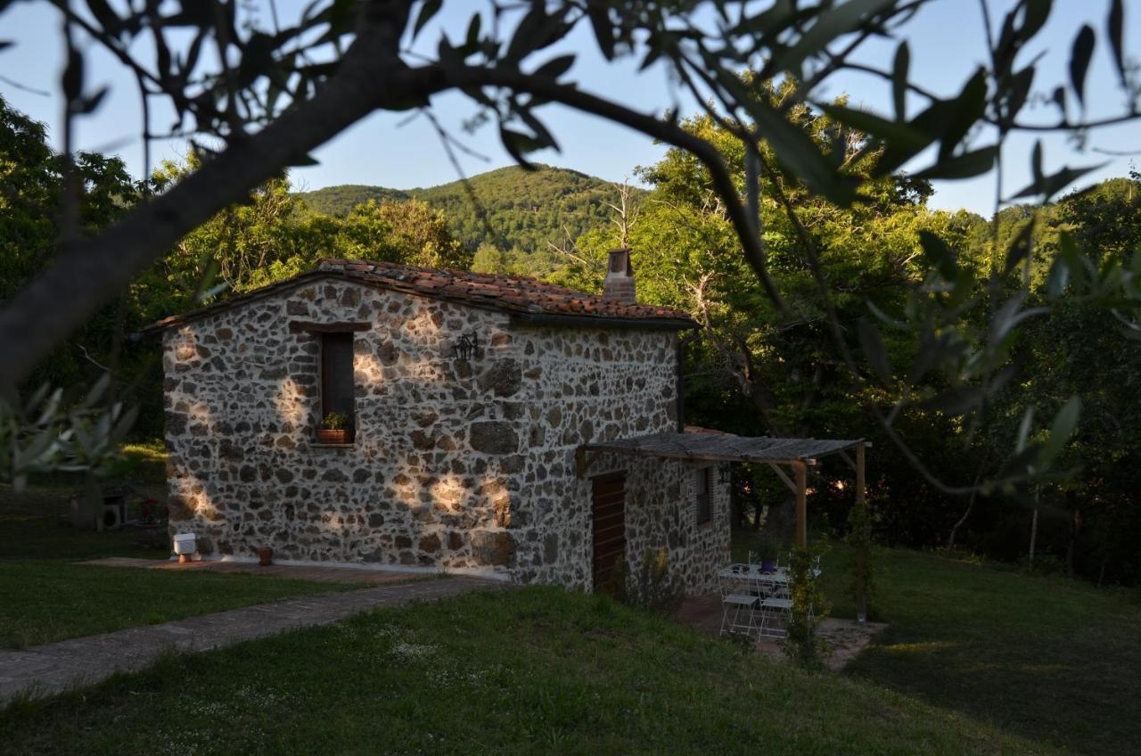 Il Venaio Bed & Breakfast Massa Marittima Luaran gambar