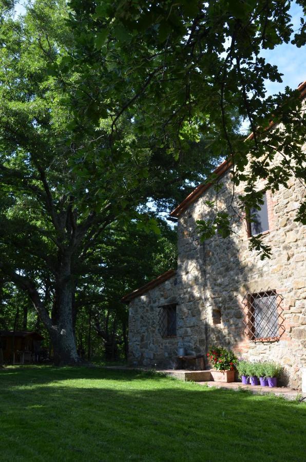 Il Venaio Bed & Breakfast Massa Marittima Luaran gambar