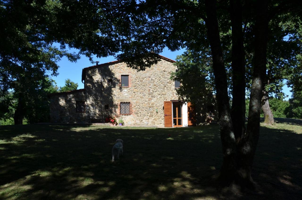 Il Venaio Bed & Breakfast Massa Marittima Luaran gambar