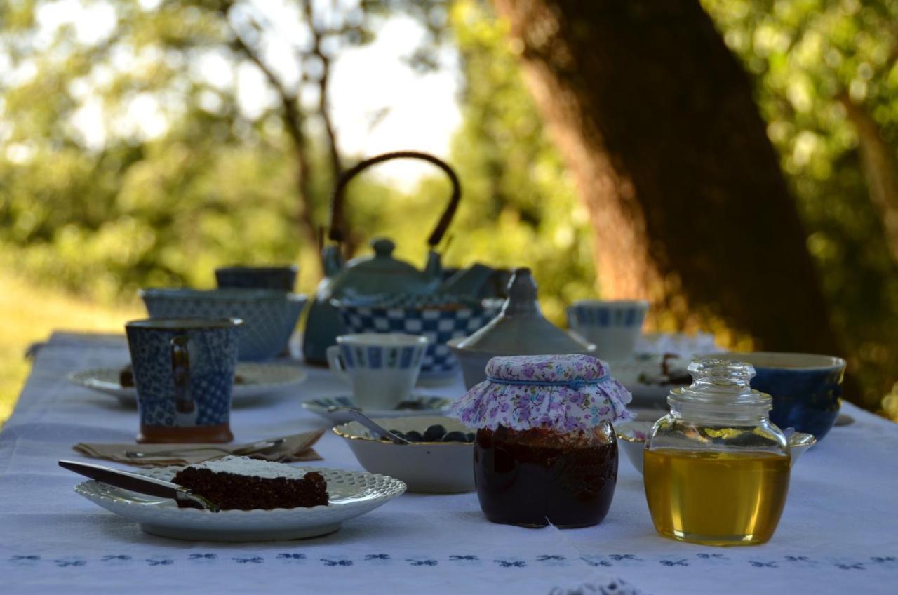 Il Venaio Bed & Breakfast Massa Marittima Luaran gambar