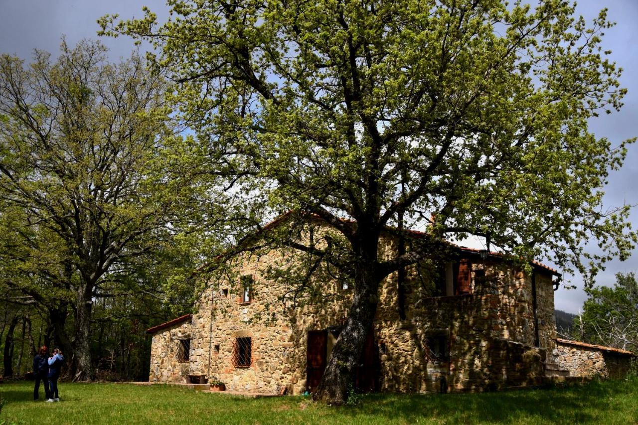 Il Venaio Bed & Breakfast Massa Marittima Luaran gambar