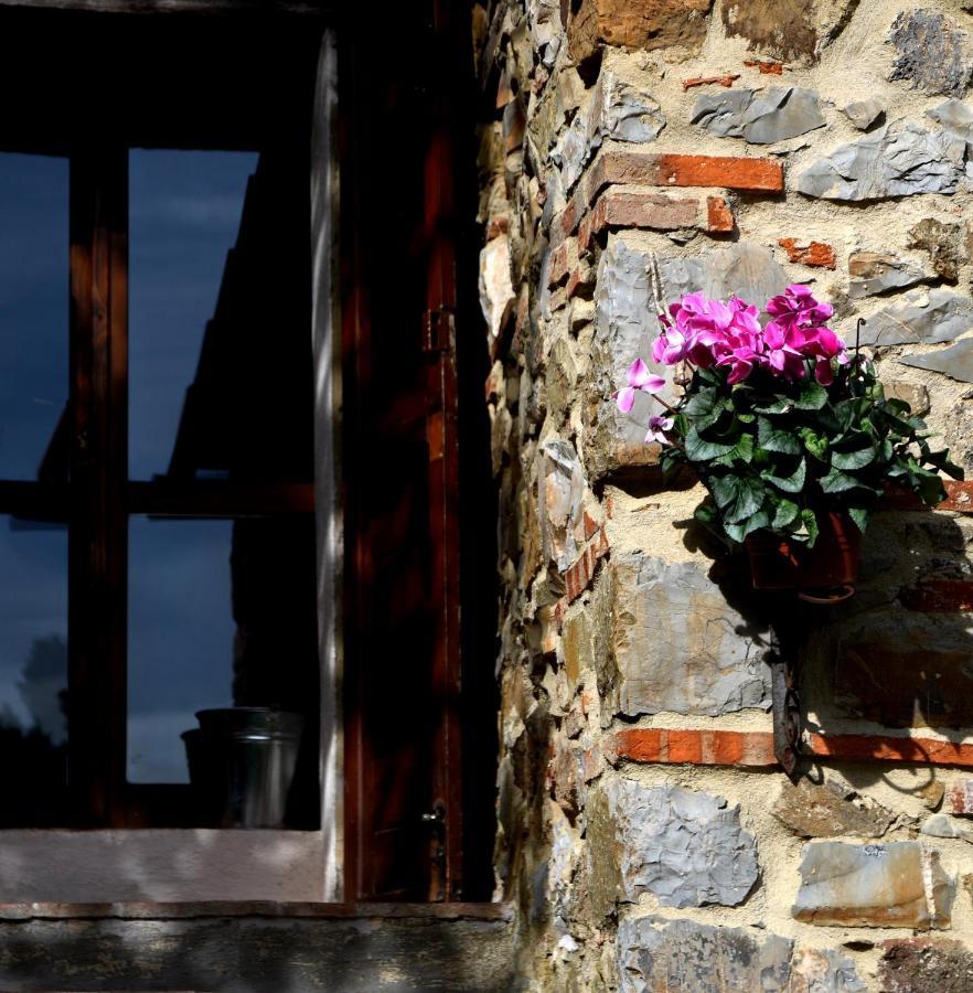 Il Venaio Bed & Breakfast Massa Marittima Luaran gambar