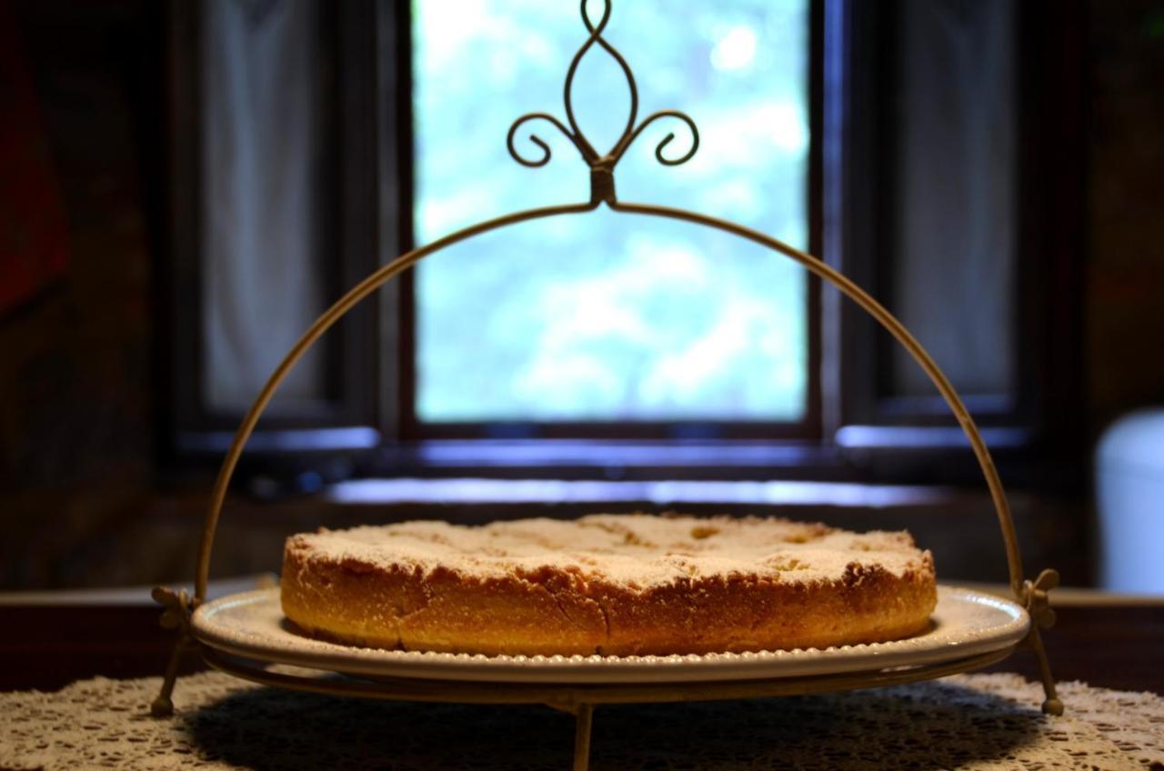 Il Venaio Bed & Breakfast Massa Marittima Luaran gambar