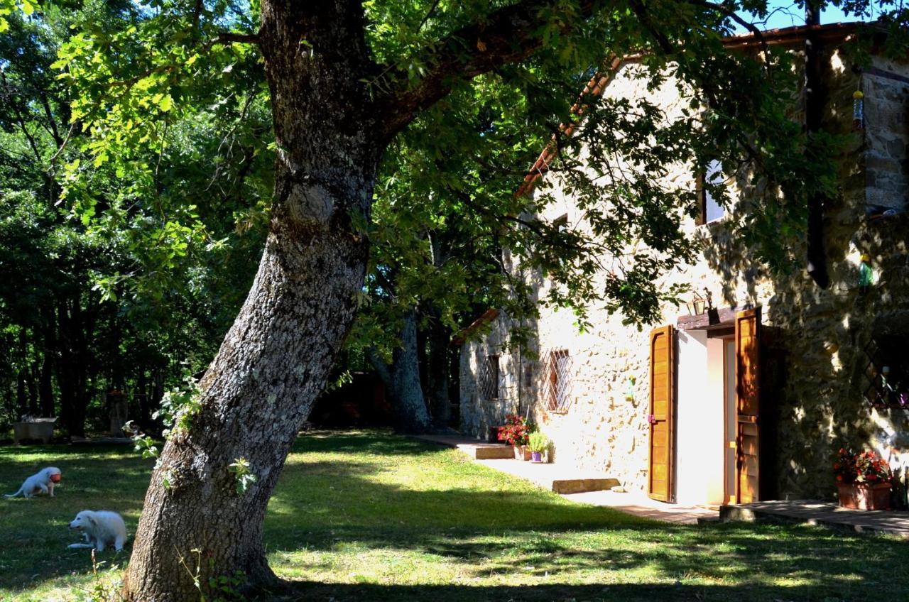 Il Venaio Bed & Breakfast Massa Marittima Luaran gambar