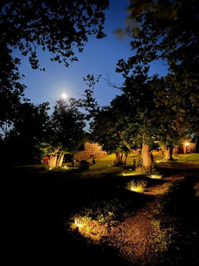 Il Venaio Bed & Breakfast Massa Marittima Luaran gambar