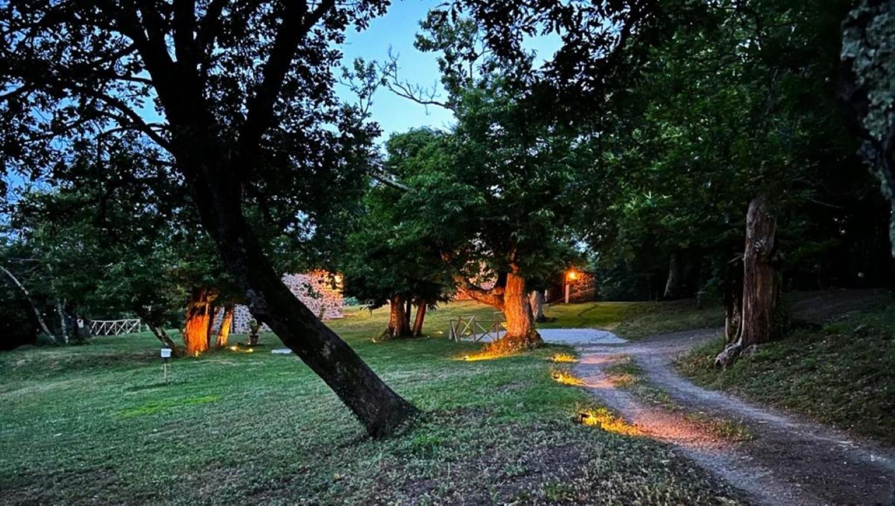 Il Venaio Bed & Breakfast Massa Marittima Luaran gambar