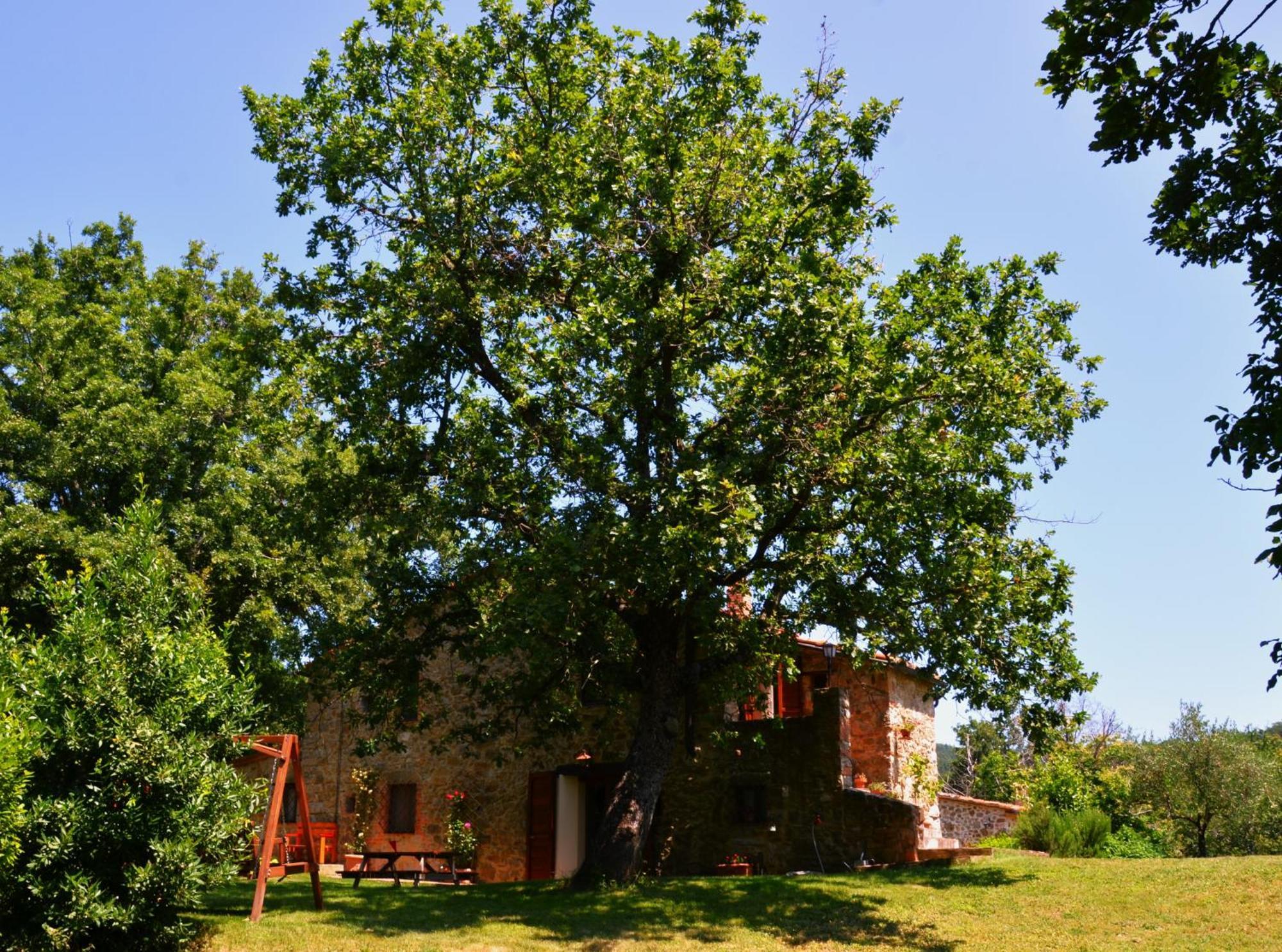 Il Venaio Bed & Breakfast Massa Marittima Luaran gambar