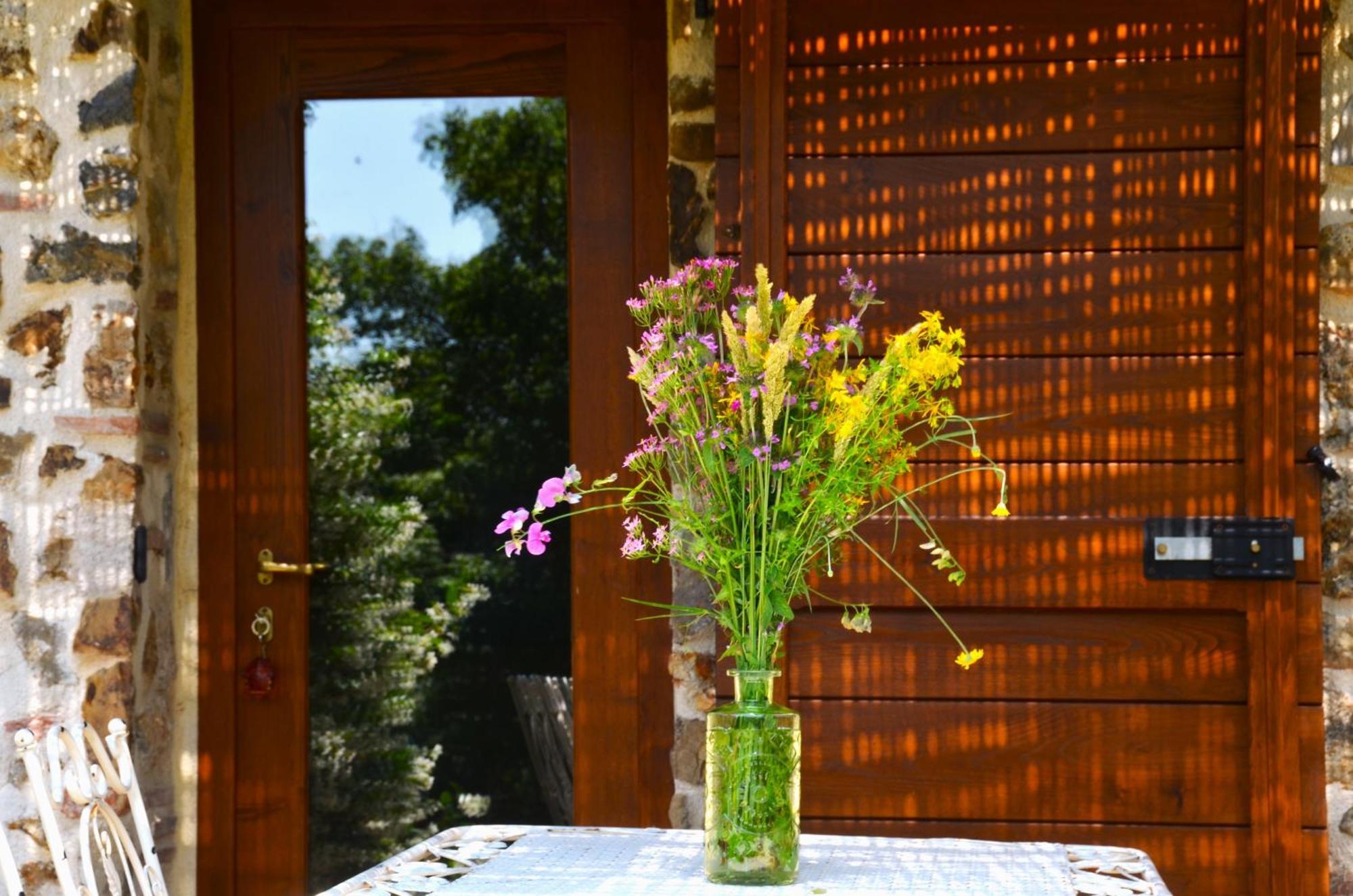 Il Venaio Bed & Breakfast Massa Marittima Luaran gambar